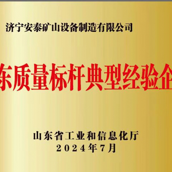 山東質(zhì)量標(biāo)桿典型經(jīng)驗(yàn)企業(yè)