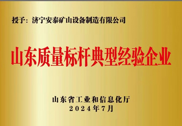 山東質(zhì)量標桿典型經(jīng)驗企業(yè)