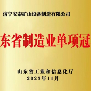 山東省制造業(yè)單項(xiàng)冠 軍